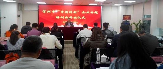 深度學(xué)習(xí)｜企業(yè)踏入”專精特新”發(fā)展新征程